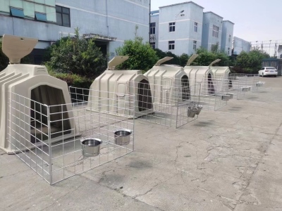 犢牛島